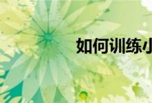 如何訓(xùn)練小學(xué)生的記憶力
