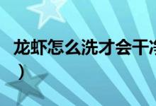 龍蝦怎么洗才會(huì)干凈怎么炒好吃（龍蝦怎么洗）