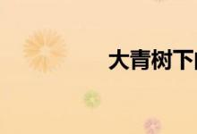 大青樹下的小學怎么畫