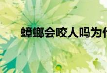 蟑螂會(huì)咬人嗎為什么（蟑螂會(huì)咬人嗎）