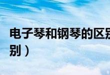電子琴和鋼琴的區(qū)別大全（電子琴和鋼琴的區(qū)別）