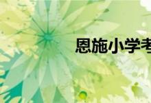 恩施小學考試成績怎么查