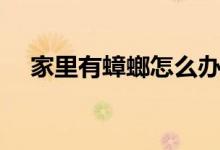 家里有蟑螂怎么辦（家里有蟑螂怎么辦）
