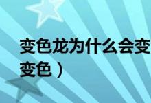 變色龍為什么會變色20字（變色龍為什么會變色）