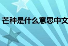 芒種是什么意思中文翻譯（芒種是什么意思）