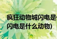 瘋狂動物城閃電是什么動物(電影瘋狂動物城閃電是什么動物)
