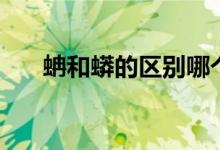 蚺和蟒的區(qū)別哪個(gè)大（蚺和蟒的區(qū)別）