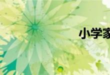 小學(xué)家教怎么做