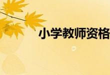 小學(xué)教師資格報考條件是什么？