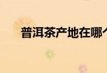 普洱茶產(chǎn)地在哪個(gè)省份（普洱茶產(chǎn)地）