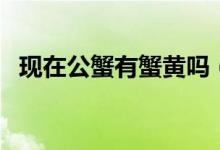 現(xiàn)在公蟹有蟹黃嗎（為什么公蟹也有蟹黃）