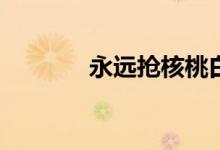 永遠(yuǎn)搶核桃白絲皮要多少錢？
