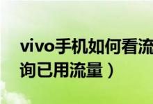 vivo手機如何看流量套餐（vivo手機怎么查詢已用流量）