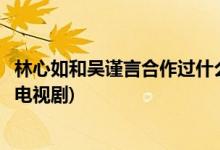 林心如和吳謹言合作過什么電視劇(林心如和吳謹言合作過的電視劇)
