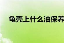 龜殼上什么油保養(yǎng)（龜殼上什么油保養(yǎng)）