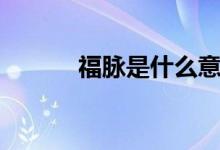 福脈是什么意思（福脈是什么）