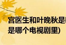 宮醫(yī)生和葉晚秋是哪部電視劇(晚秋和宮醫(yī)生是哪個電視劇里)