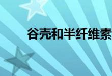 谷殼和半纖維素的主要成分是什么？