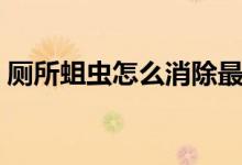 廁所蛆蟲(chóng)怎么消除最快（蛆蟲(chóng)如何徹底消除）