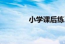 小學課后練習題庫操作技巧