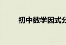 初中數(shù)學因式分解常用解法有哪些