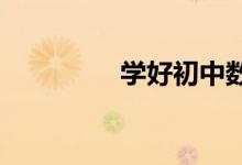 學好初中數(shù)學重要的幾點