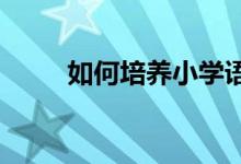 如何培養(yǎng)小學語文學科的核心素養(yǎng)