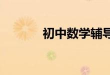 初中數(shù)學輔導學習方法與技巧