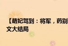 【萌妃駕到：將軍，藥別停！/妖妖靈】凌嫵,墨染染小說全文大結局