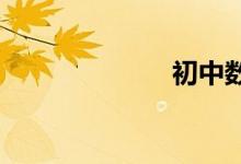 初中數(shù)學解方程