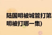 陸國(guó)明被城管打第幾集(我們的快樂(lè)人生陸國(guó)明被打哪一集)