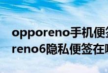opporeno手機便簽可以設(shè)置密碼嗎（opporeno6隱私便簽在哪里）