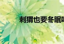 刺猬也要冬眠嗎（刺猬會(huì)冬眠嗎）