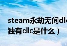 steam永劫無(wú)間dlc怎么用（永劫無(wú)間steam獨(dú)有dlc是什么）