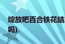 綻放吧百合鐵花結局(張鐵花和云祥在一起了嗎)
