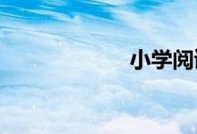 小學(xué)閱讀理解技巧