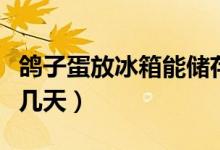 鴿子蛋放冰箱能儲(chǔ)存多久（鴿子蛋放冰箱能放幾天）