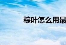 粽葉怎么用最好（粽葉怎么用）