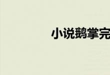 小說鵝掌完結(jié)（小說鵝掌）