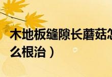木地板縫隙長蘑菇怎么處理（木地板長蘑菇怎么根治）