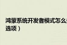 鴻蒙系統(tǒng)開發(fā)者模式怎么關(guān)掉（鴻蒙系統(tǒng)怎樣關(guān)閉開發(fā)人員選項(xiàng)）