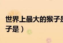 世界上最大的猴子是猿猴嗎（世界上最大的猴子是）