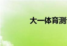 大一體育測(cè)試不及格怎么辦