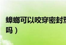 蟑螂可以咬穿密封塑料袋嗎（蟑螂會咬塑料袋嗎）