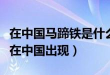 在中國馬蹄鐵是什么時候使用的（馬蹄鐵何時在中國出現(xiàn)）
