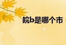 皖b是哪個市（皖b是哪個城市）