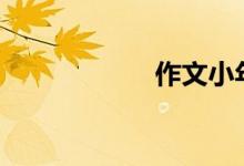 作文小年篇怎樣寫?