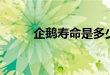 企鵝壽命是多少?。ㄆ簌Z的壽命）