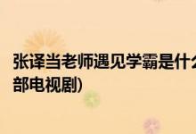 張譯當老師遇見學霸是什么電視劇(張譯當老師遇見學霸是哪部電視劇)