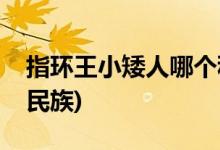 指環(huán)王小矮人哪個(gè)種族(指環(huán)王小矮人是什么民族)